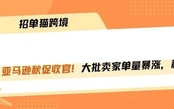 秋促收官！单量涨了，利润塌了！！！